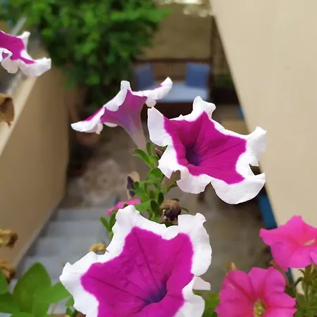 Apartamento A 50 Mt Dal Mare