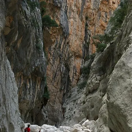 A 50 Mt Dal Mare Apartamento